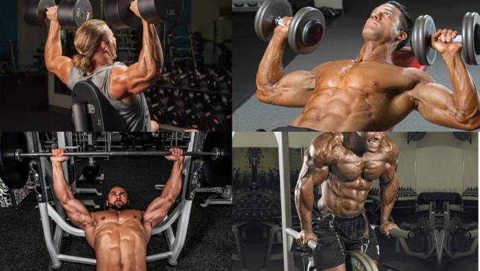 Базовые упражнения на грудь