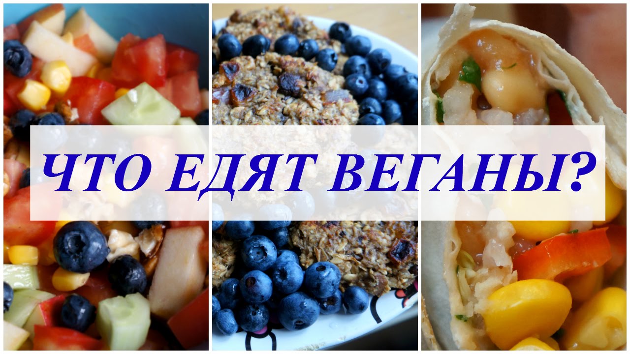 Что едят веганы?