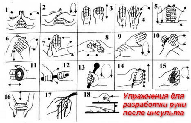 Лучшие упражнения для рук