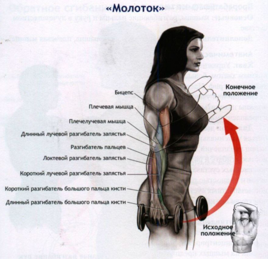 Ошибки новичков