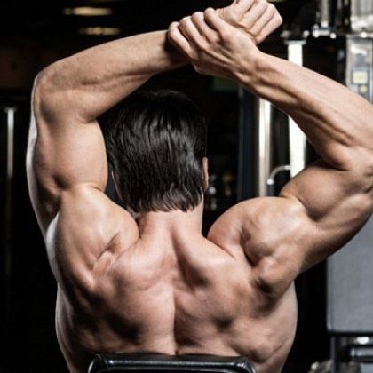 Правила тренировок