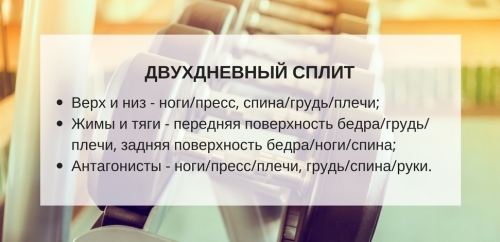 Сплит-тренировка «верх-низ»