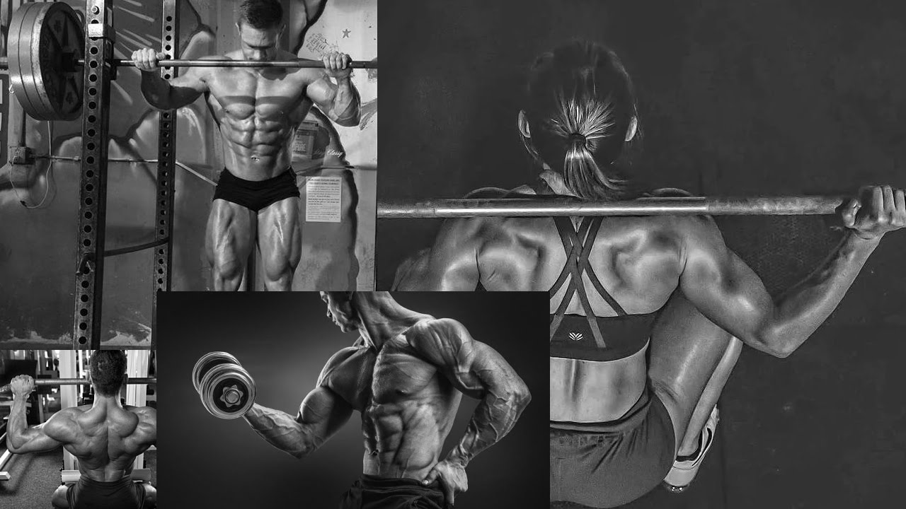 Тренировка фулбади