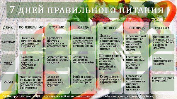 Сбалансированное питание для похудения: принципы, советы диетологов ...